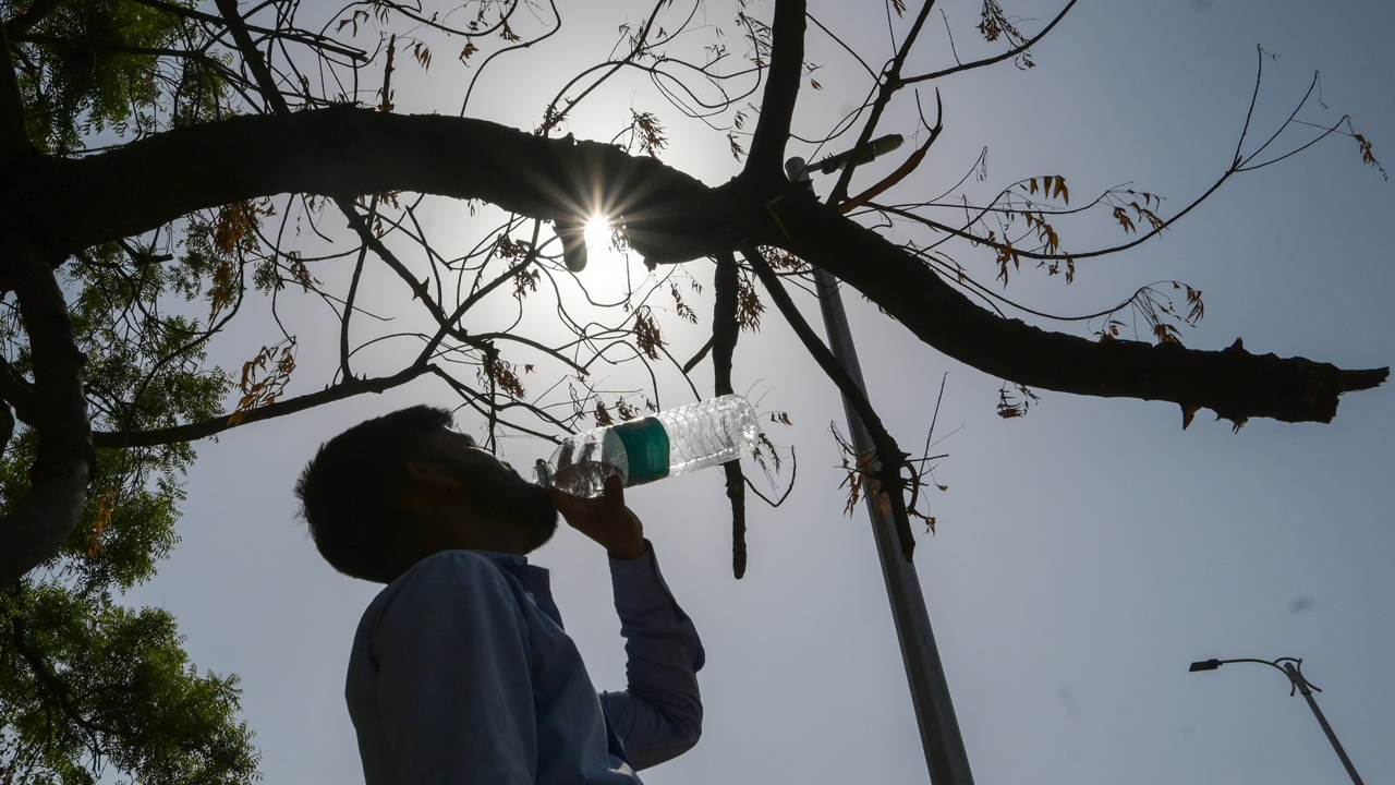 শেষ হলো জলবায়ু সম্মেলন—কী পেল বিশ্ব?